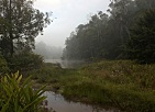 Madagaskar 2008