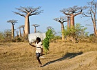 Madagaskar 2008