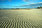 tichá pláž po odlivu, ostrov Panglao