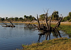 Meandr řeky Chobe