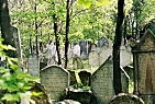 židovský hřbitov - Mikulov