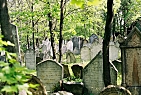 židovský hřbitov - Mikulov