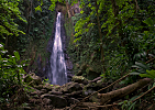 Dominica-Syndicate Falls