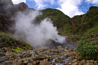 Dominica-Valley of Desolation