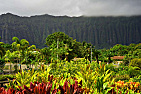 Waimanalo