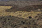Lava River
