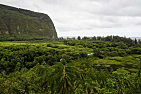 Waipio Valley