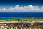 Kiholo Bay