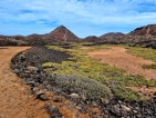 Fuerteventura