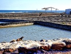 Fuerteventura